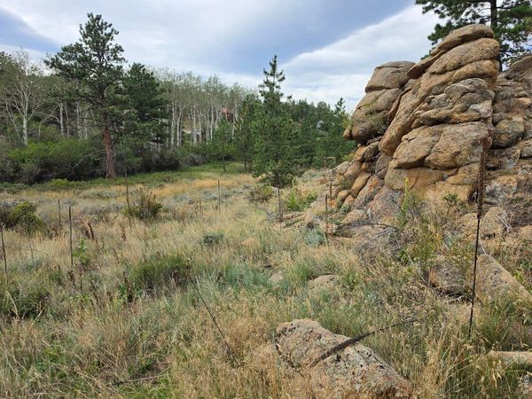 0 Lone Pine Ct, Red Feather Lakes, CO 80545