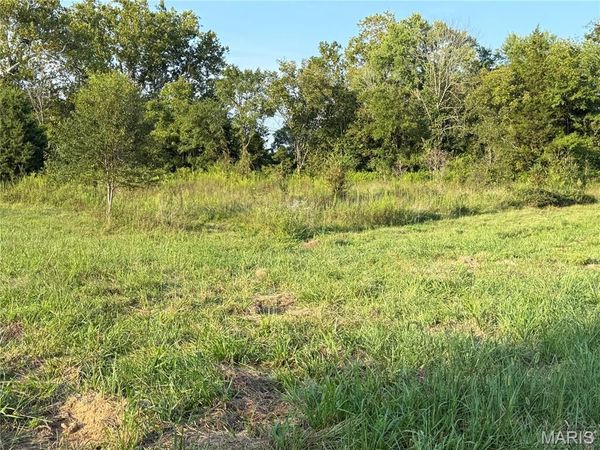 475 County Road 157 , Des Arc, MO 63636