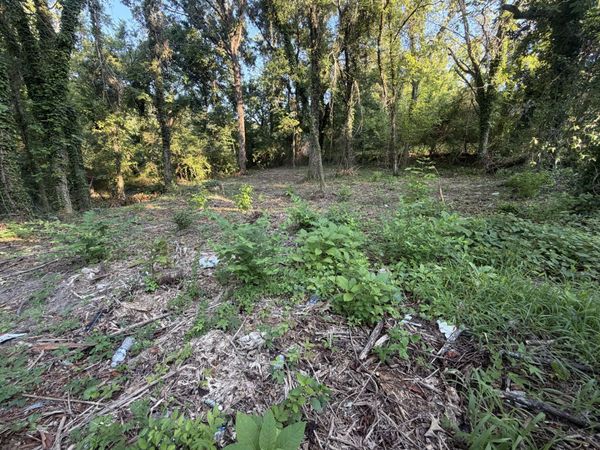 813 Rockway Drive, Chattanooga, TN 37411