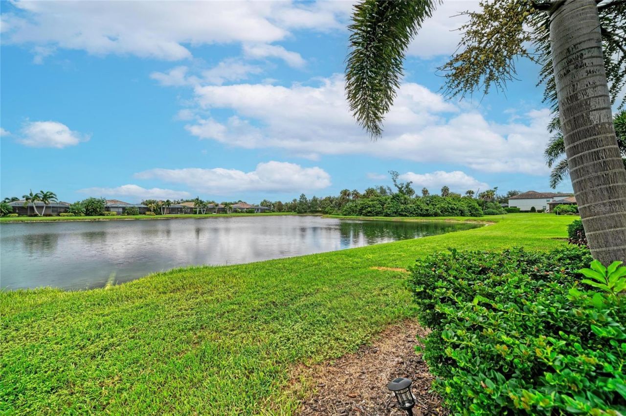 7123 Marsh View Terrace, Bradenton, FL 34212 Photo