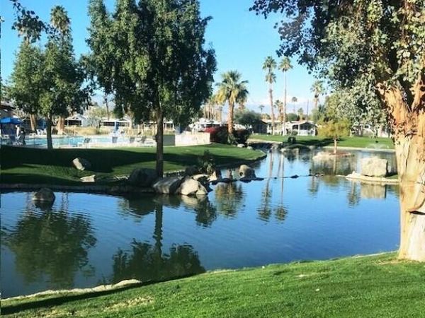84136 Ave 44, #768, Unit 768, Indio, CA 92203