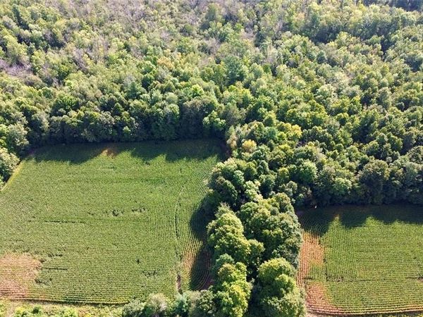 TBD Hwy 27, Cornell, WI 54727