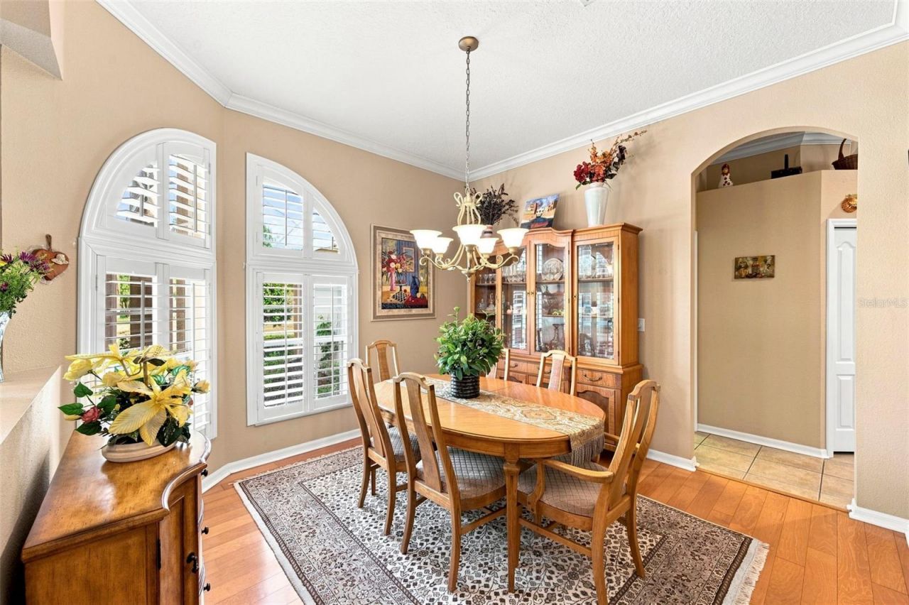 10531 Miracle Lane, New Port Richey, FL 34654 Photo