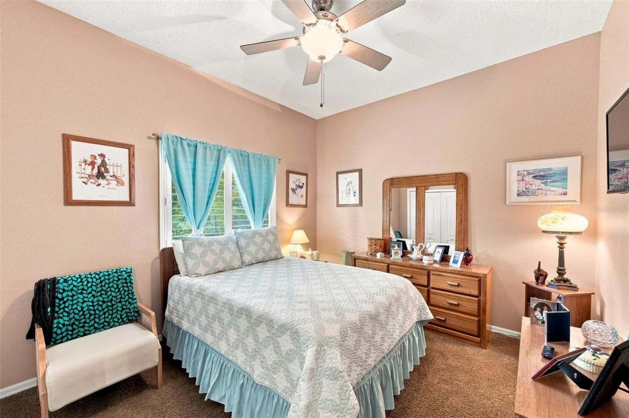 10531 Miracle Lane, New Port Richey, FL 34654 Photo