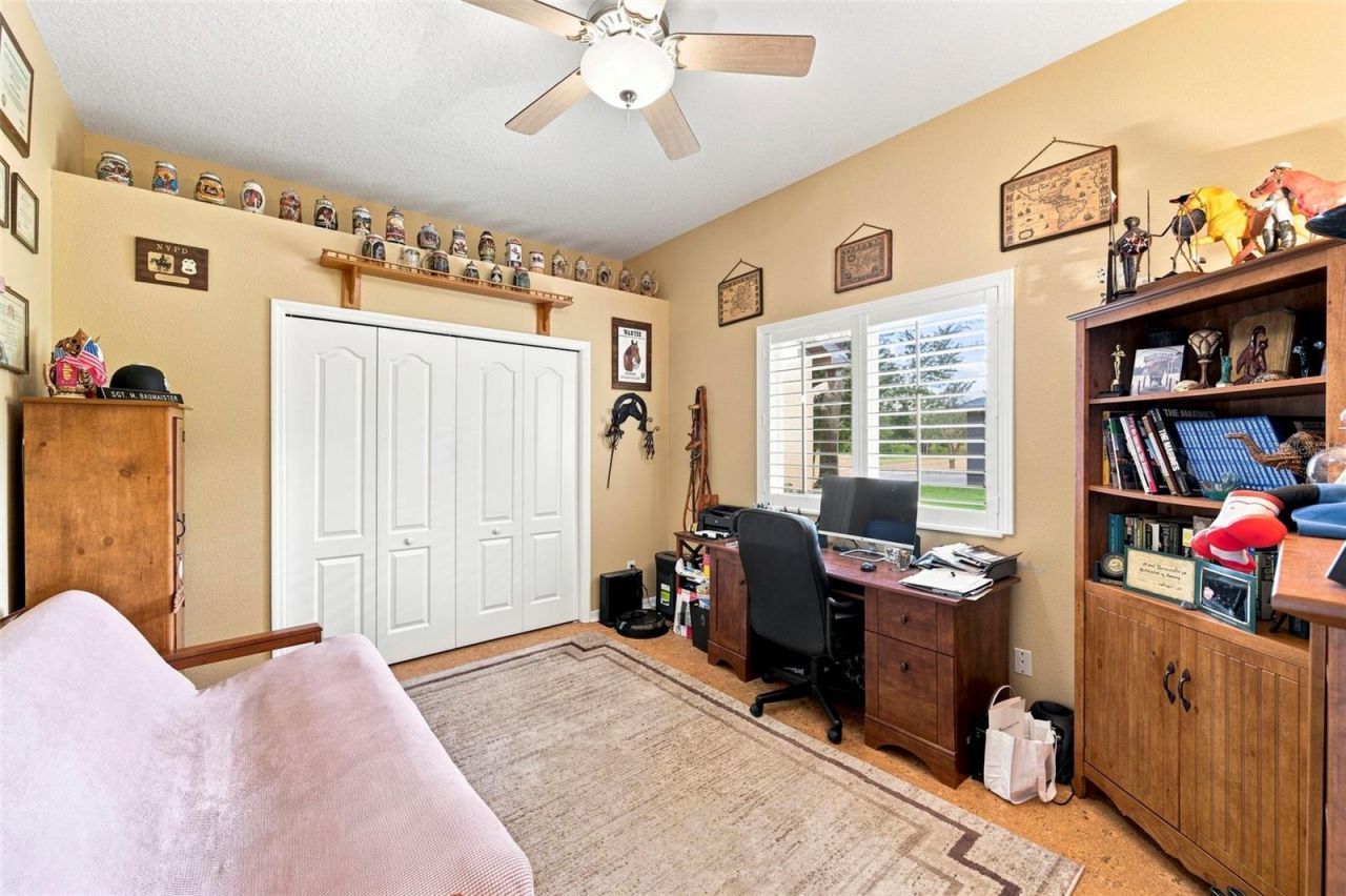 10531 Miracle Lane, New Port Richey, FL 34654 Photo
