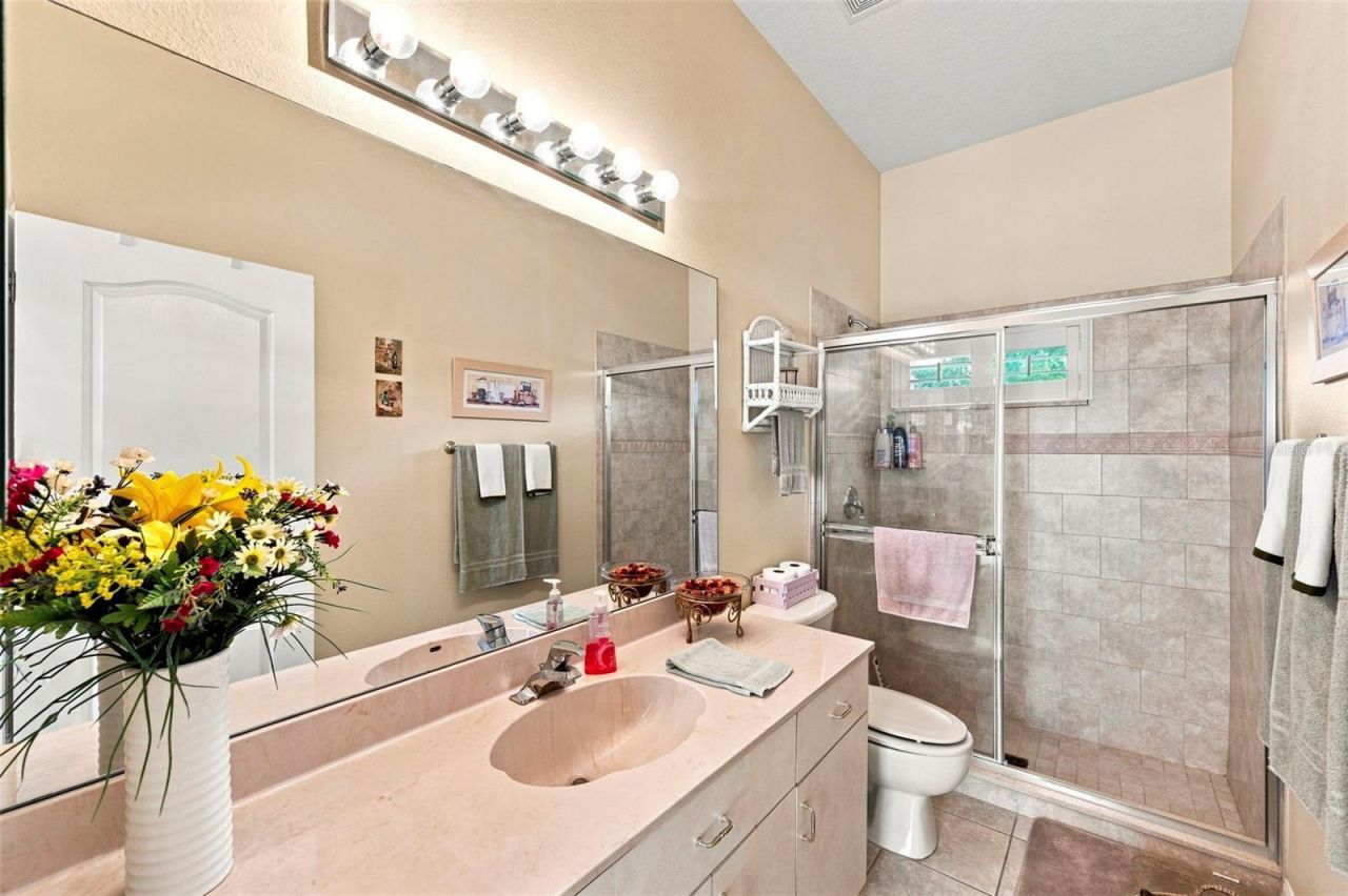 10531 Miracle Lane, New Port Richey, FL 34654 Photo