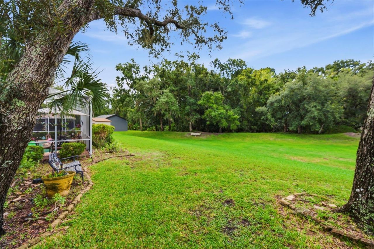 10531 Miracle Lane, New Port Richey, FL 34654 Photo