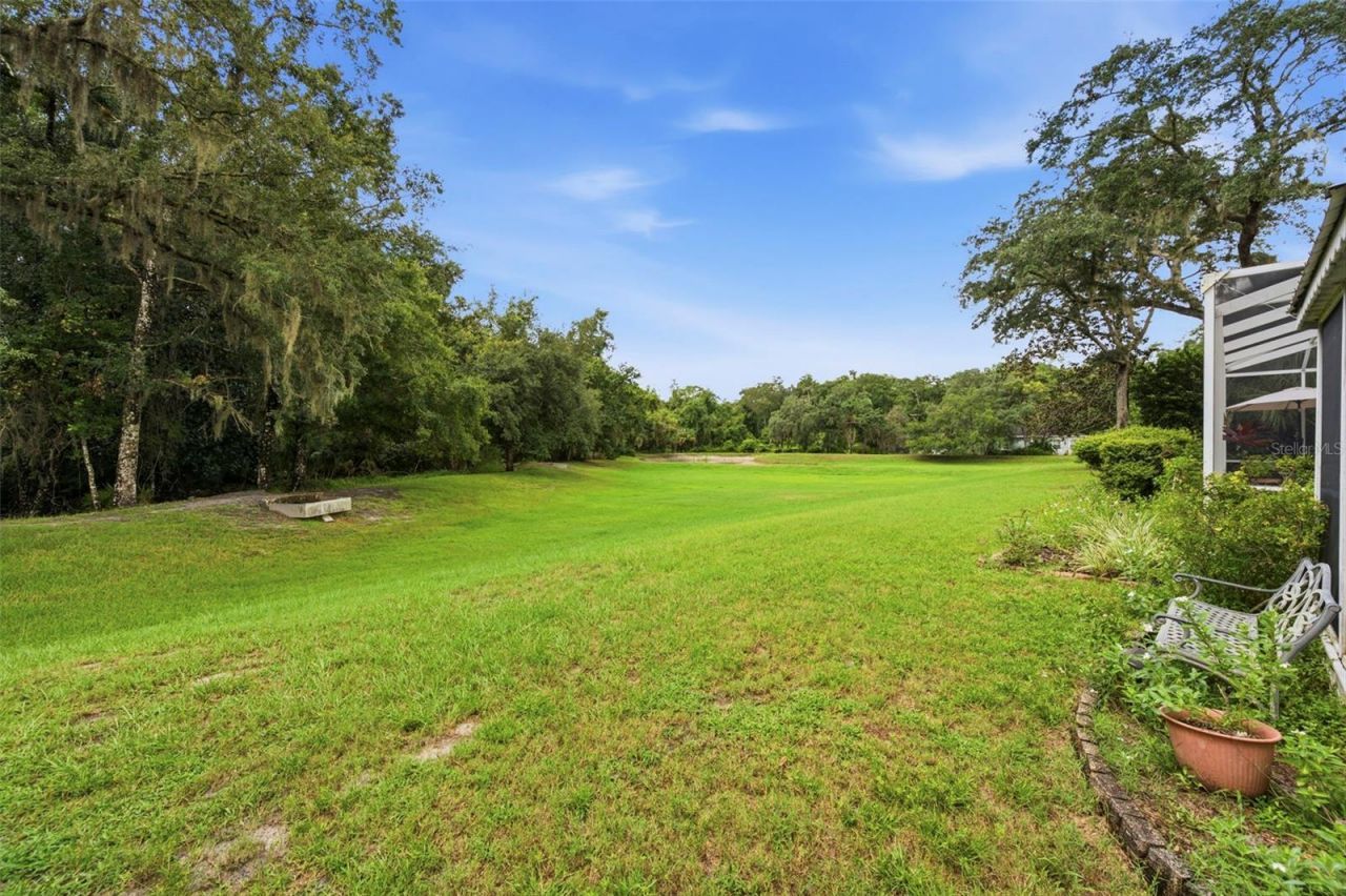 10531 Miracle Lane, New Port Richey, FL 34654 Photo