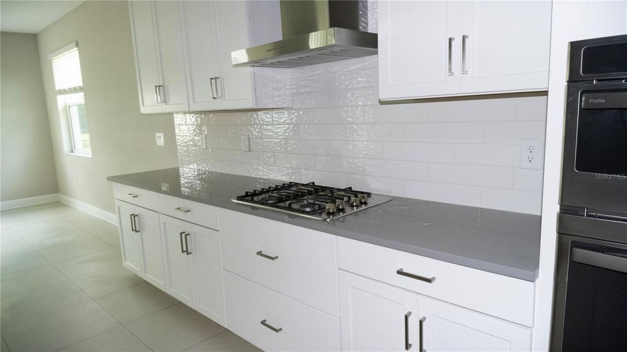 17675 Savory Mist Circle, Lakewood Ranch, FL 34211 Photo