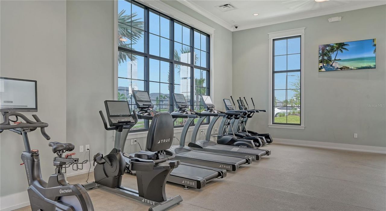 17675 Savory Mist Circle, Lakewood Ranch, FL 34211 Photo