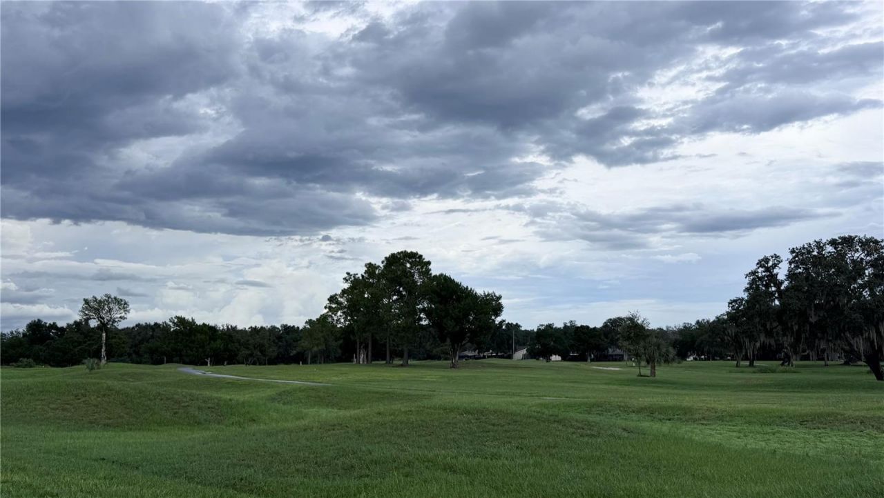 6088 Fairway Drive , Ridge Manor, FL 33523 Photo