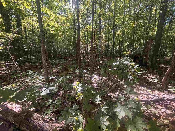 TBD ZMIKLY, Harbor Springs, MI 49740