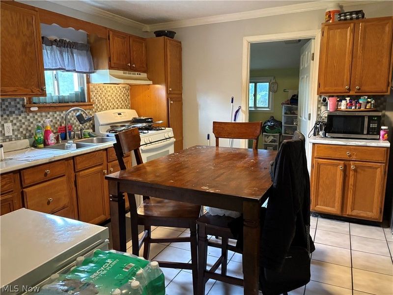 298 E Grant Street, East Palestine, OH 44413 Photo 7