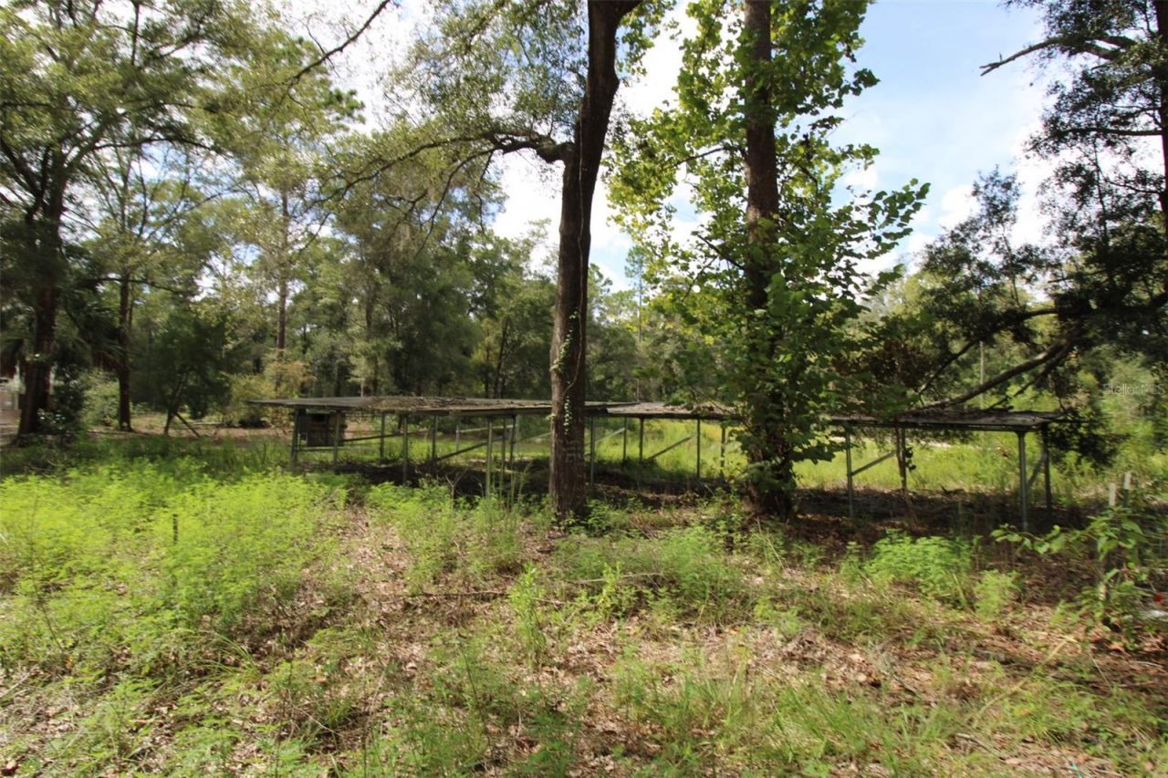 9599 NW 56th Lane , Chiefland, FL 32626 Photo
