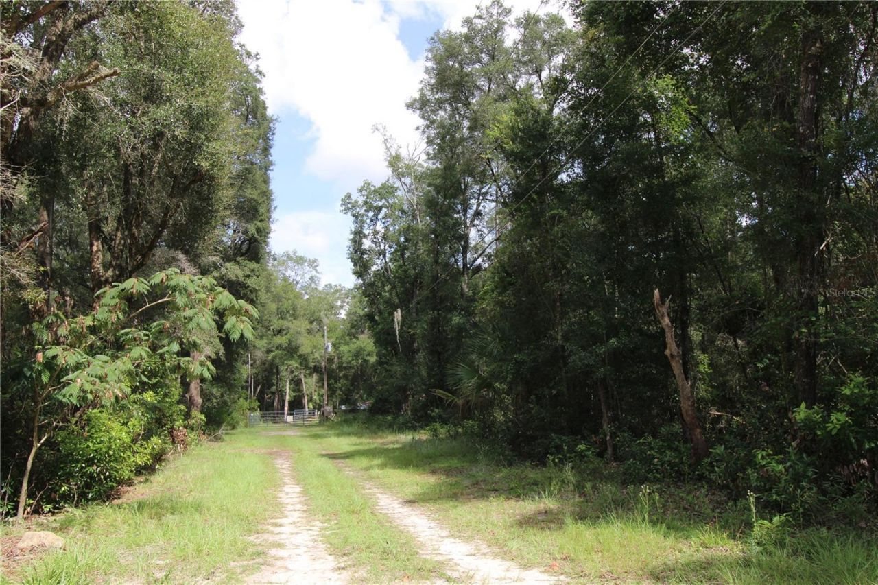 9599 NW 56th Lane , Chiefland, FL 32626 Photo