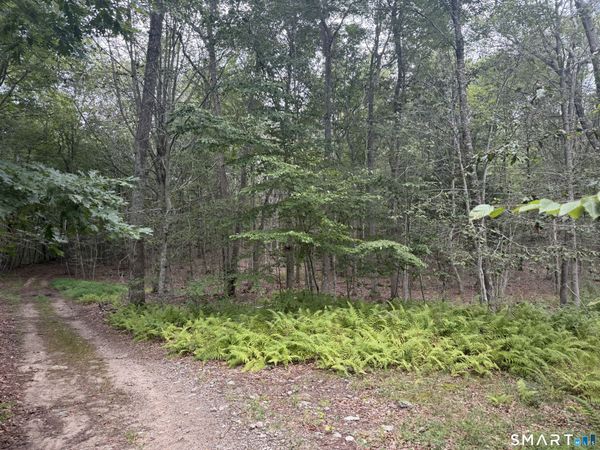 lot 29 Route 32, Franklin, CT 06254