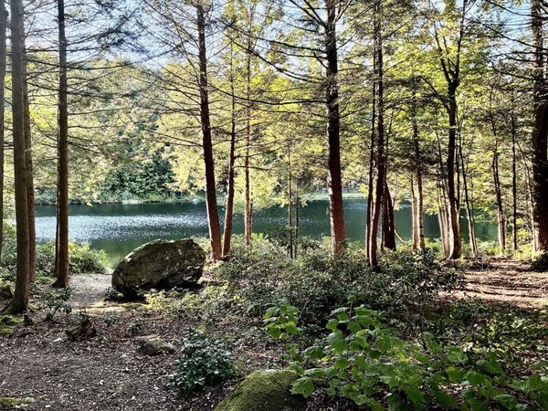 136 E Otter Dr, Tolland, MA 01034
