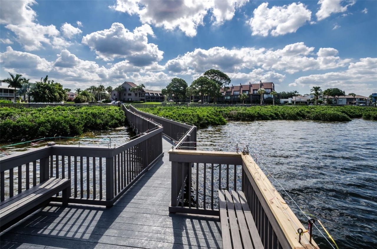 321 Windrush Loop, Tarpon Springs, FL 34689 Photo