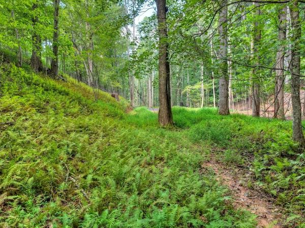 00 River Way, Blue Ridge, GA 30513