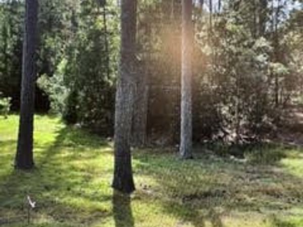 .880ac Lillys Neck Road , Moon, VA 23119