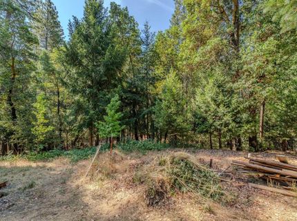 24810 Sunrise Ter, Pioneer, CA 95666 Photo