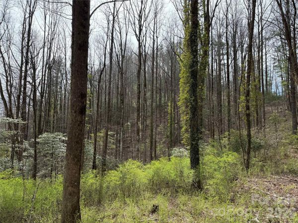 L8 Black Bear Court , Sapphire, NC 28774