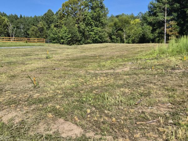 787 Morgan Road NE, Charleston, TN 37310