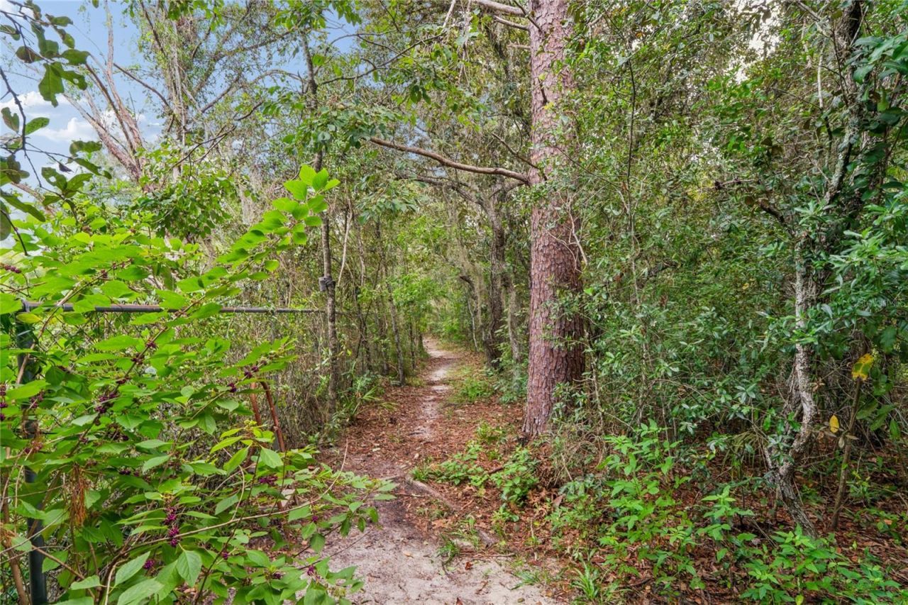 10447 Granning Lane, New Port Richey, FL 34654 Photo
