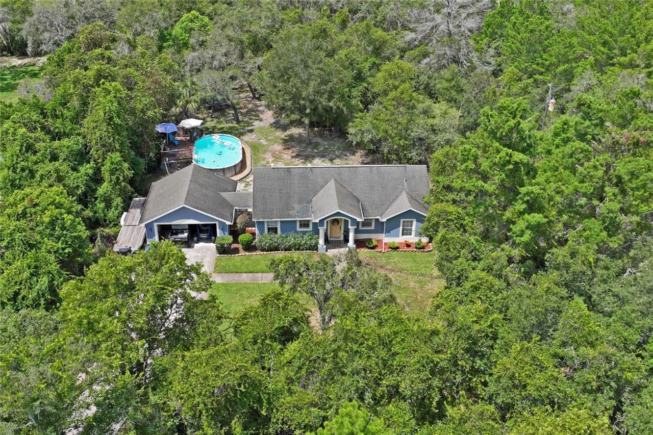 10447 Granning Lane, New Port Richey, FL 34654 Photo