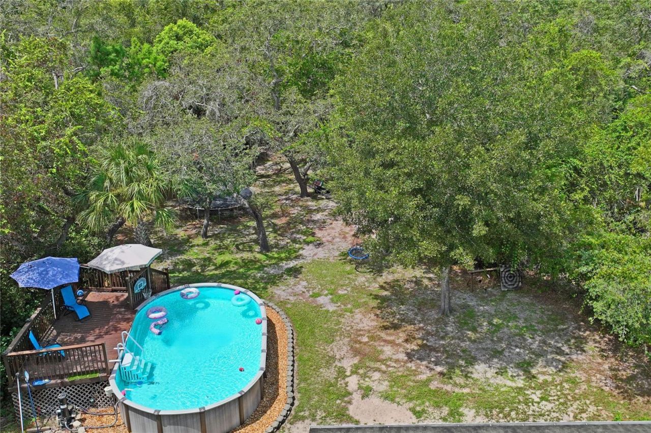 10447 Granning Lane, New Port Richey, FL 34654 Photo