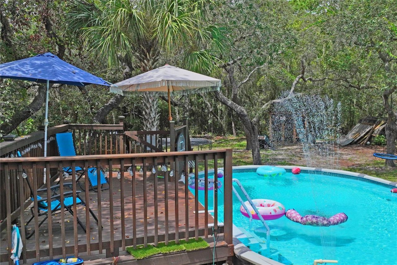 10447 Granning Lane, New Port Richey, FL 34654 Photo