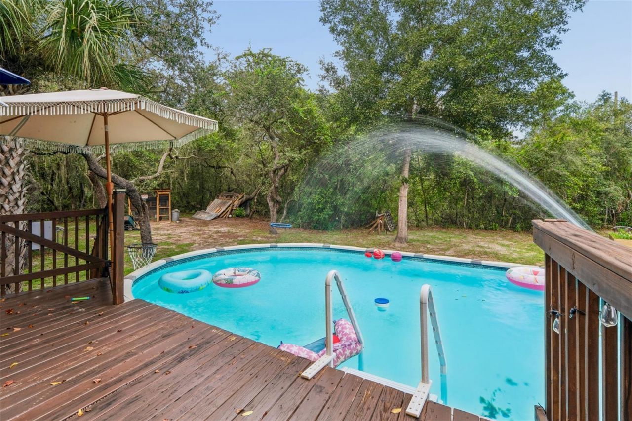 10447 Granning Lane, New Port Richey, FL 34654 Photo
