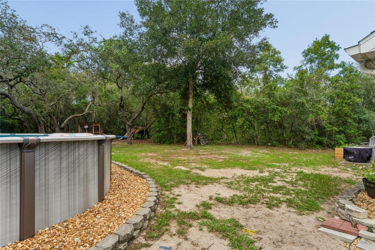 10447 Granning Lane, New Port Richey, FL 34654 Photo