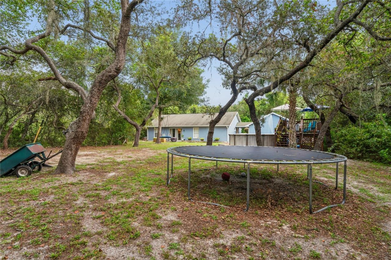 10447 Granning Lane, New Port Richey, FL 34654 Photo