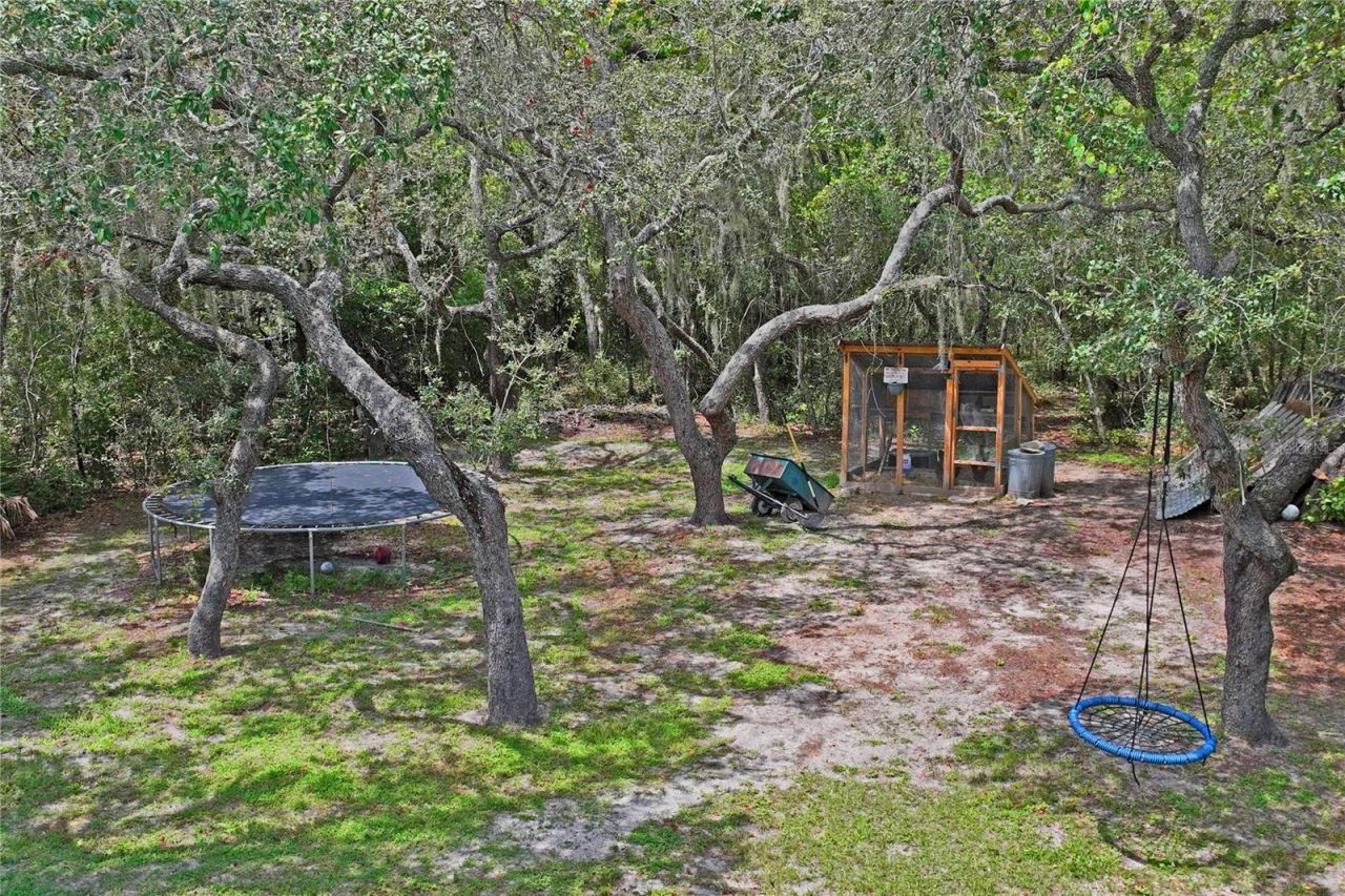 10447 Granning Lane, New Port Richey, FL 34654 Photo