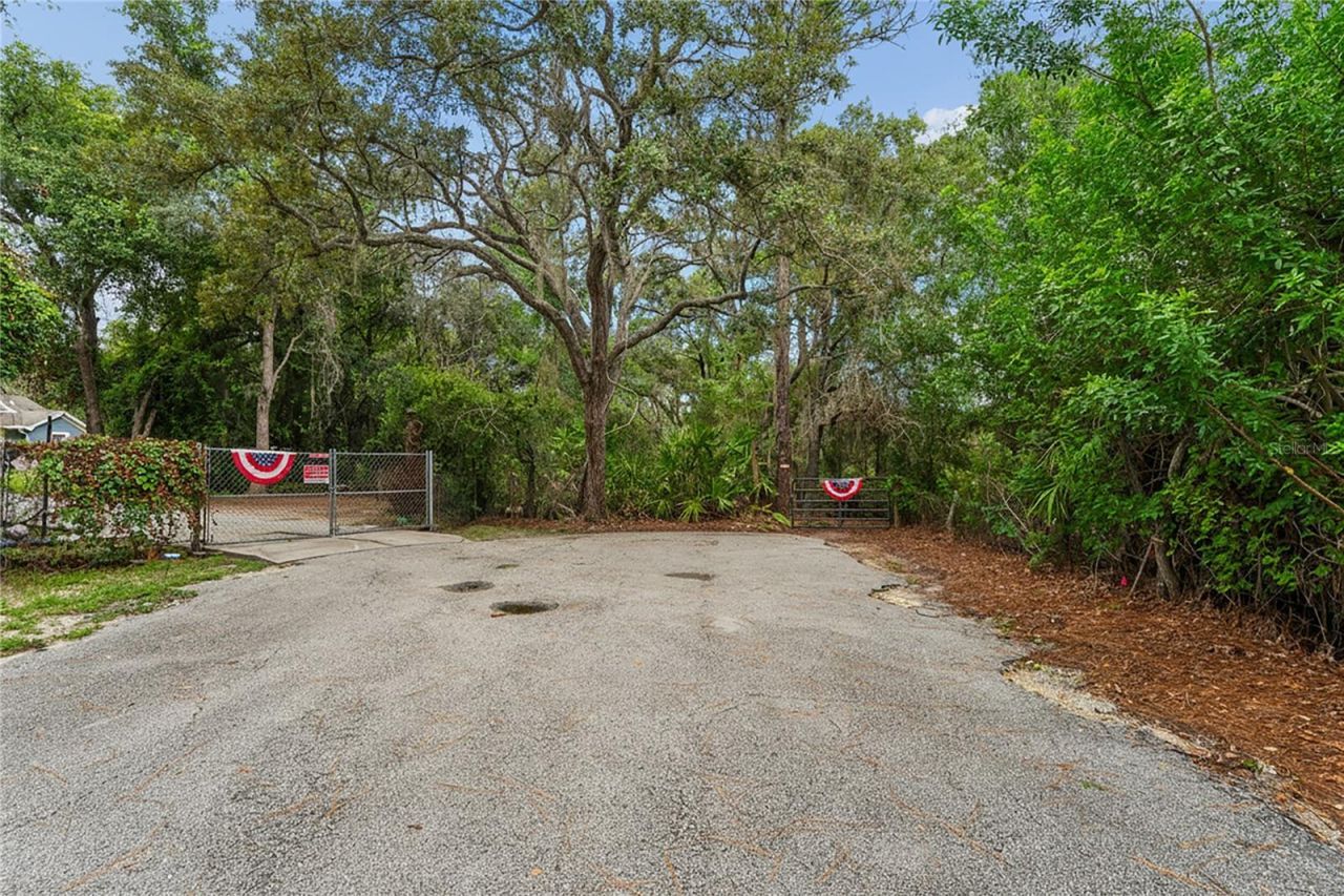 10447 Granning Lane, New Port Richey, FL 34654 Photo