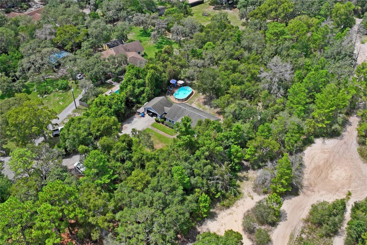 10447 Granning Lane, New Port Richey, FL 34654 Photo