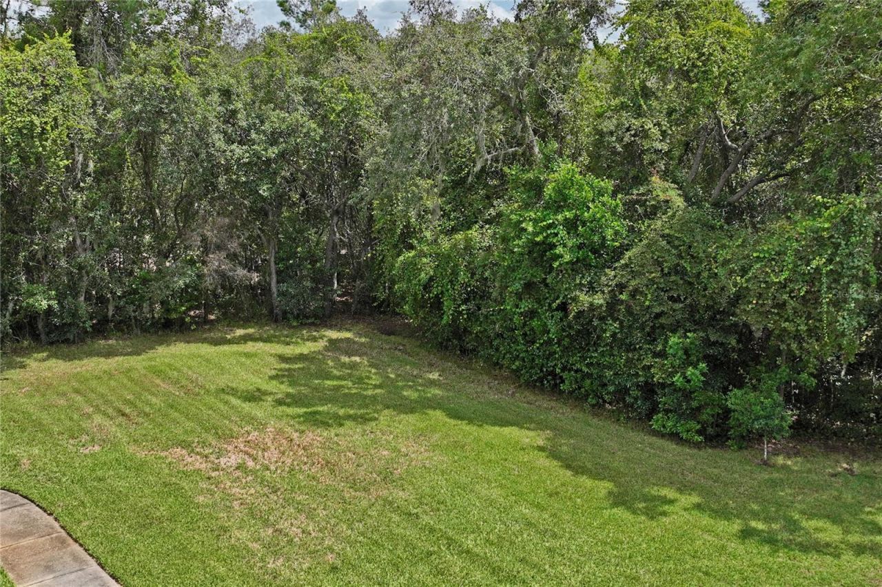 10447 Granning Lane, New Port Richey, FL 34654 Photo