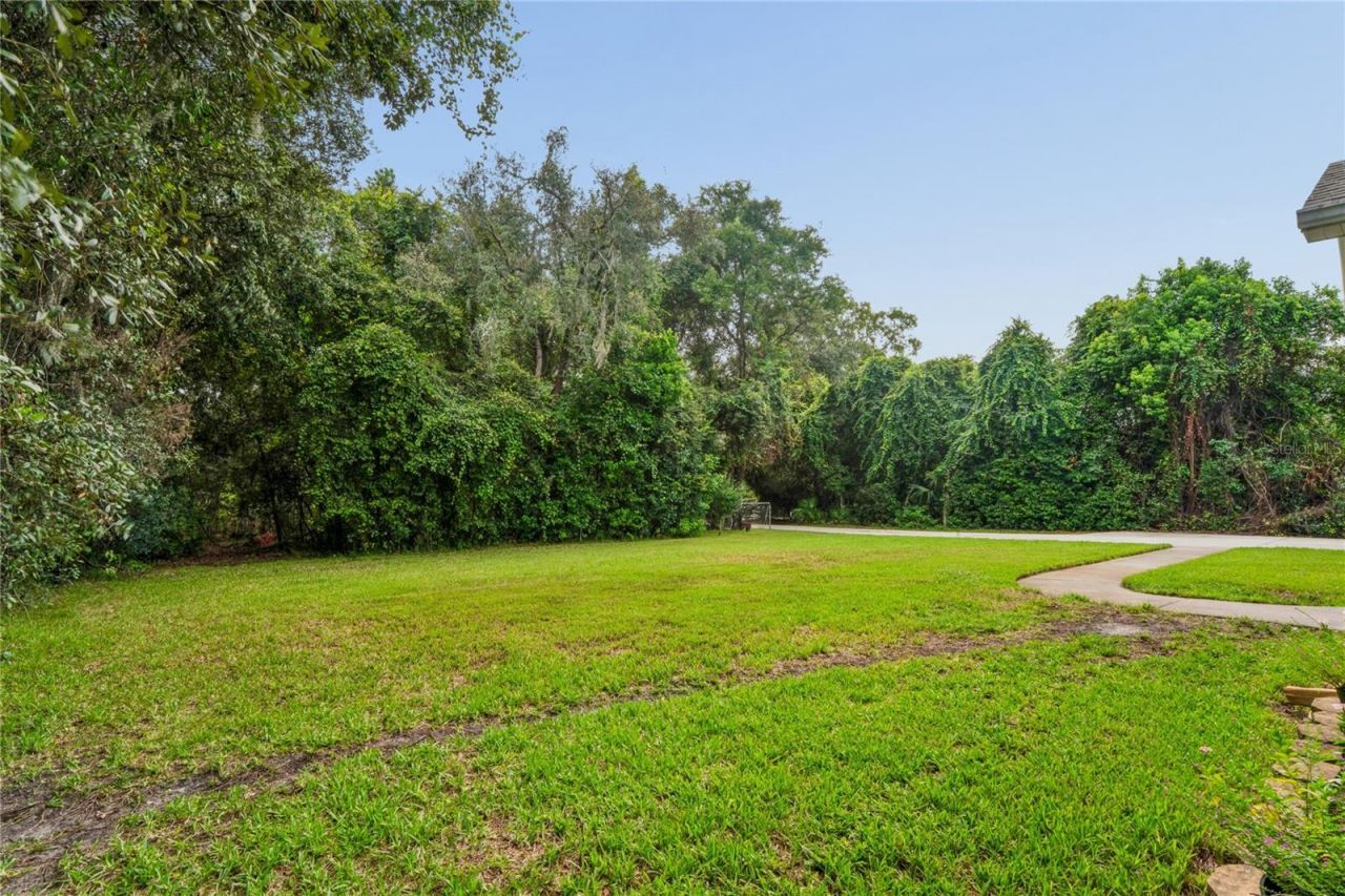 10447 Granning Lane, New Port Richey, FL 34654 Photo