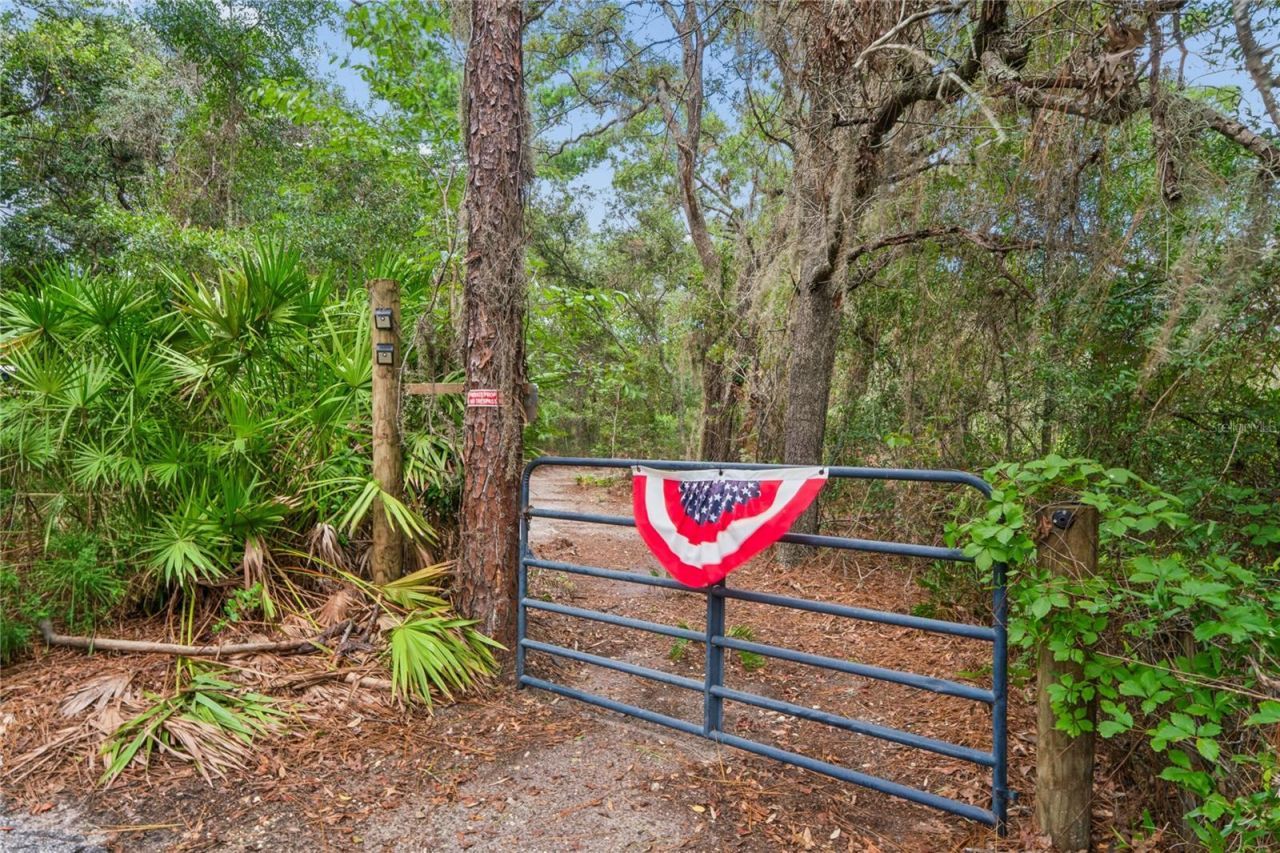 10447 Granning Lane, New Port Richey, FL 34654 Photo