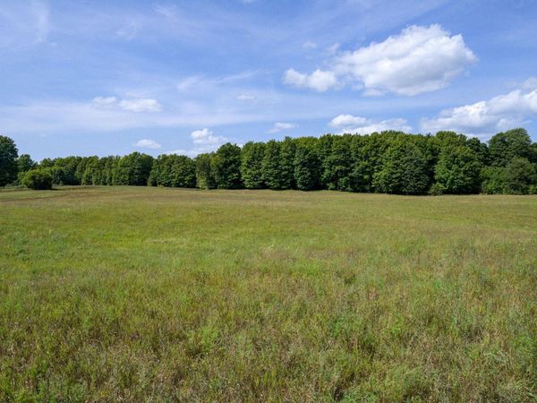 Center Road E, Kingsley, MI 49649