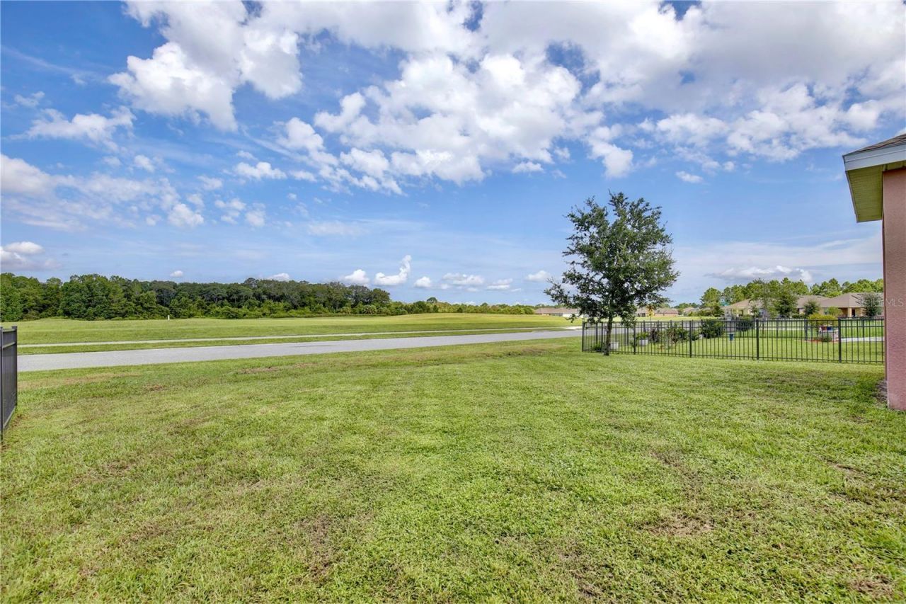 3020 Burrowing Owl Drive, Mims, FL 32754 Photo
