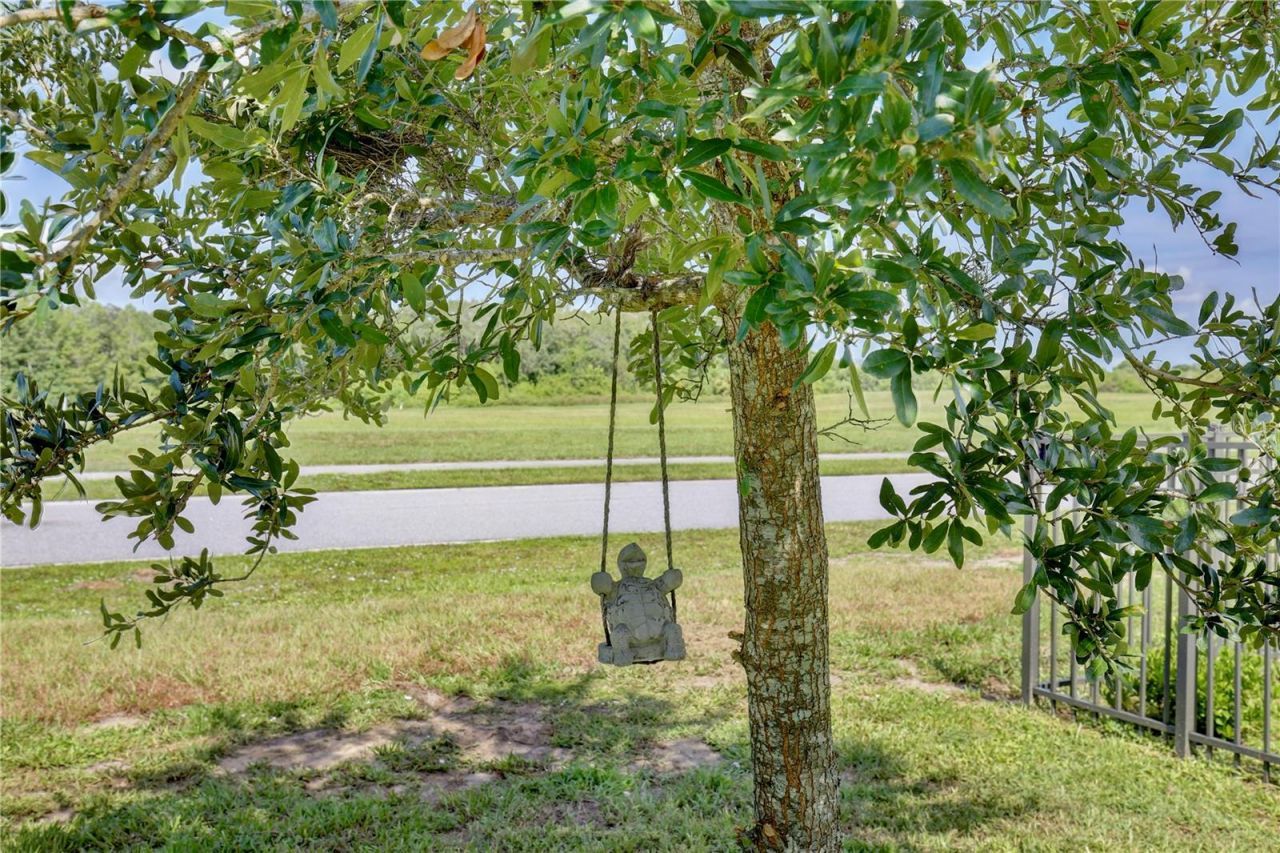 3020 Burrowing Owl Drive, Mims, FL 32754 Photo