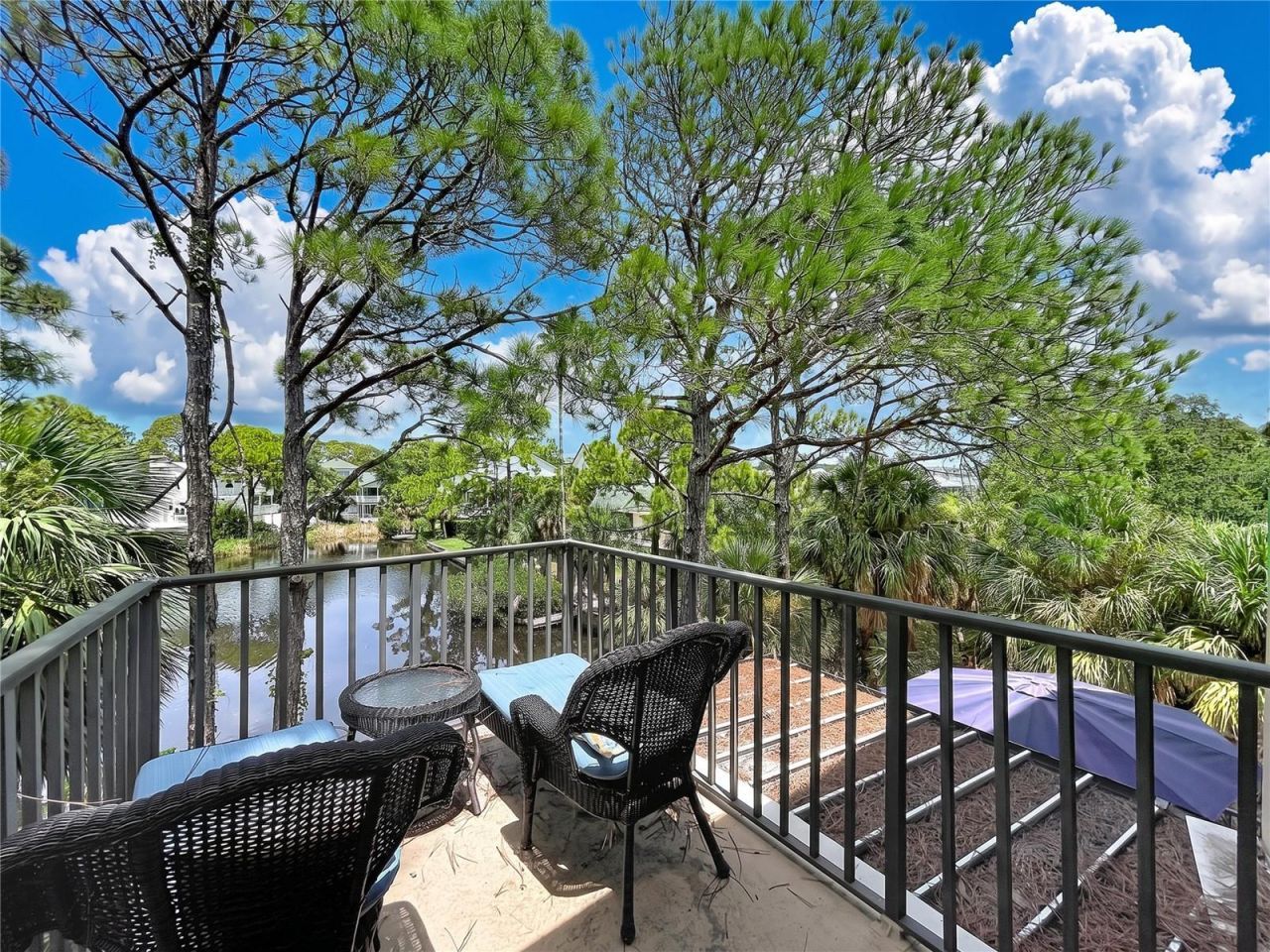 777 Claudia Lane , Palm Harbor, FL 34683 Photo