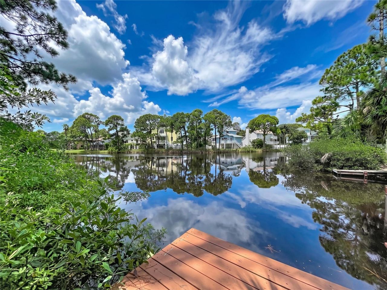 777 Claudia Lane , Palm Harbor, FL 34683 Photo