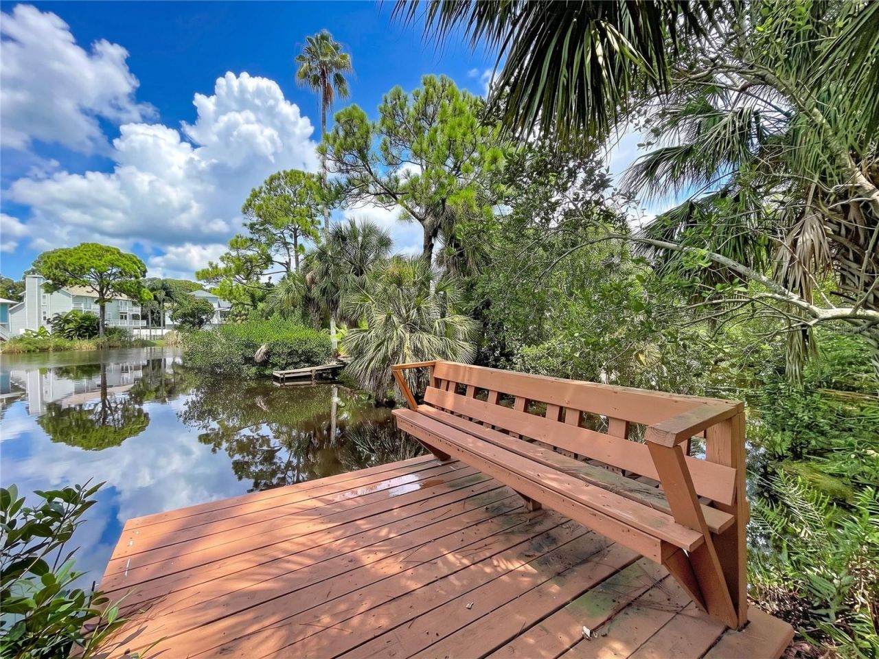 777 Claudia Lane , Palm Harbor, FL 34683 Photo