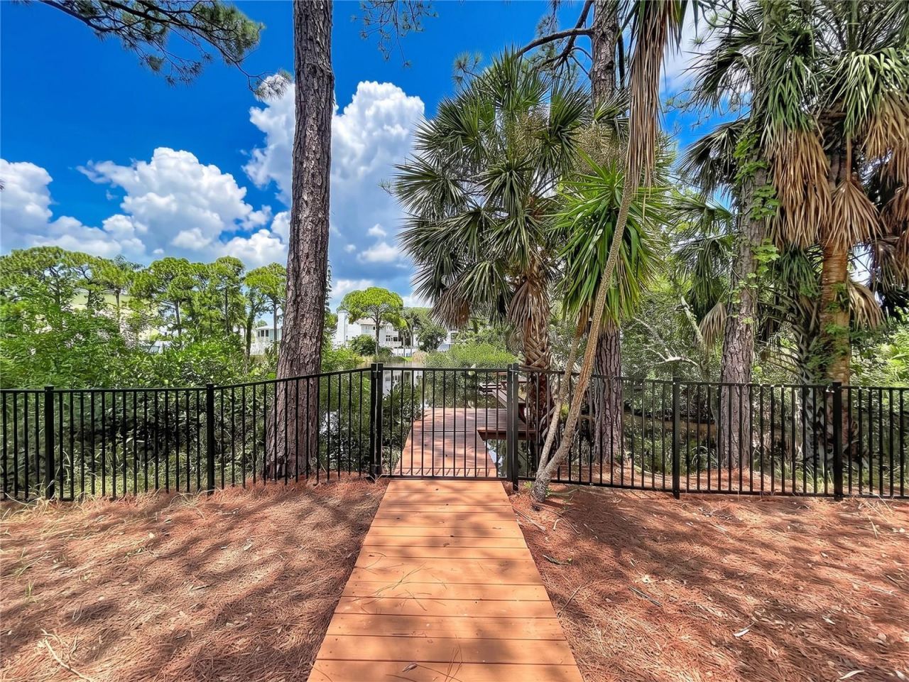 777 Claudia Lane , Palm Harbor, FL 34683 Photo