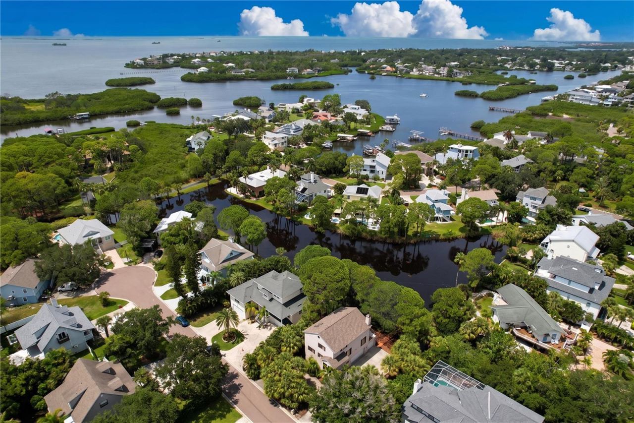 777 Claudia Lane , Palm Harbor, FL 34683 Photo