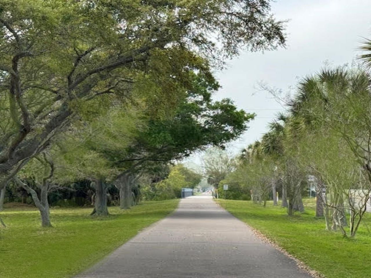 777 Claudia Lane , Palm Harbor, FL 34683 Photo