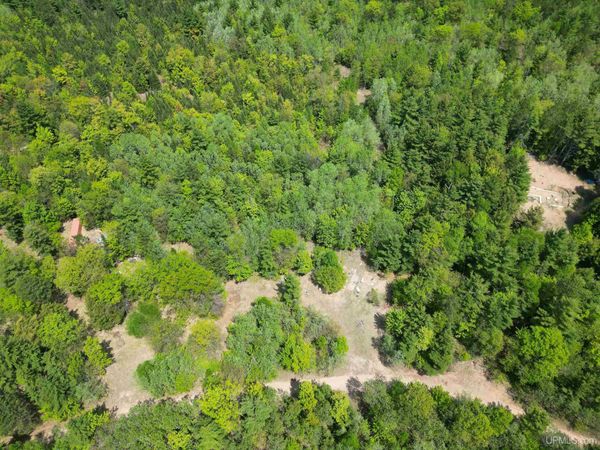 TBD Brown Deer Road, Powell Twp, MI 49855